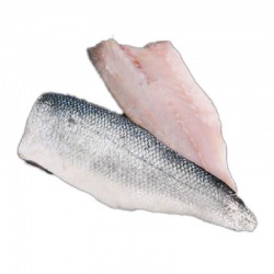 Filetto di branzino