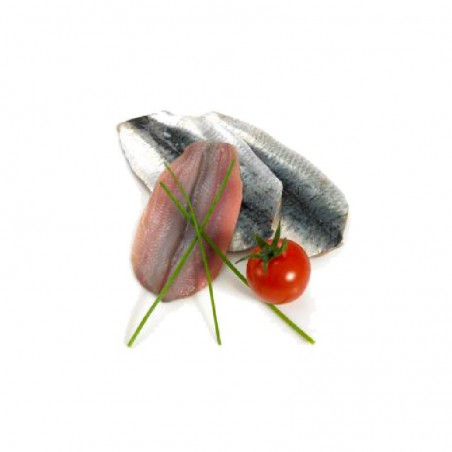 Filetti alaccia (sardina)