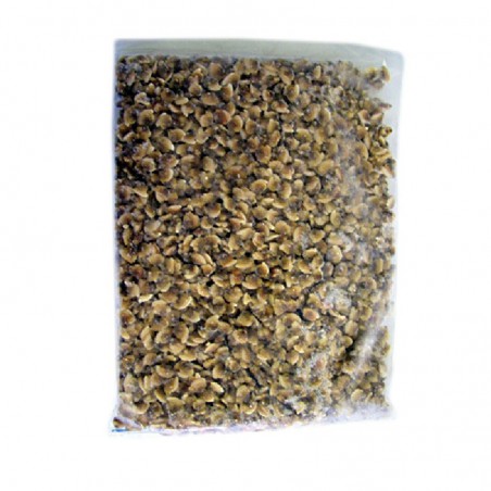 Vongole I.Q.F. sgusciate