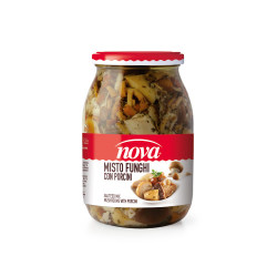 Misto funghi con porcino sotto’olio