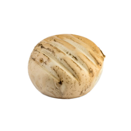 Scamorza sotto liquido affumicata