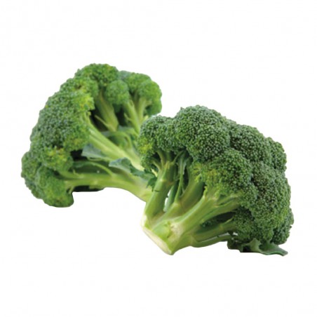 Broccoli I.Q.F