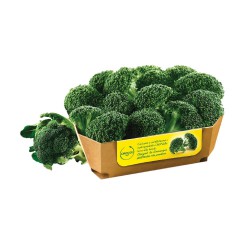 Broccoli  I.Q.F. Orogel