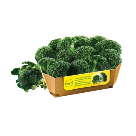 Broccoli Orogel I.Q.F.
