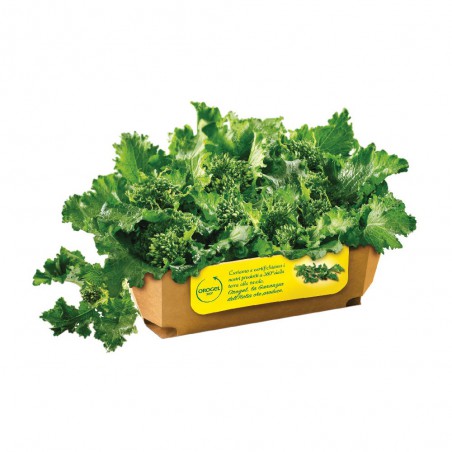 Cime di rapa porzionate Orogel