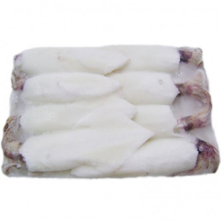 Calamari U 5 Thai Asian blocco Calamari U 5 Thai Asian blocco