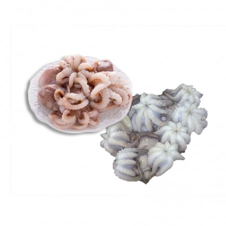 Polpetti I.Q.F. moscardini